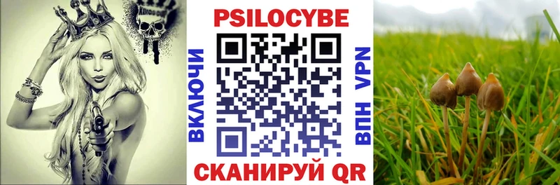 Галлюциногенные грибы GOLDEN TEACHER  дарнет шоп  Приморско-Ахтарск 